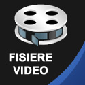 Fisiere Video